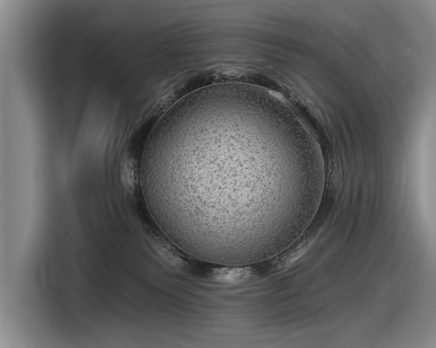 X0000116590135200912171601