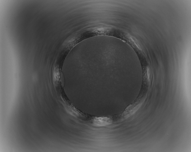 X0000116590137200912171601