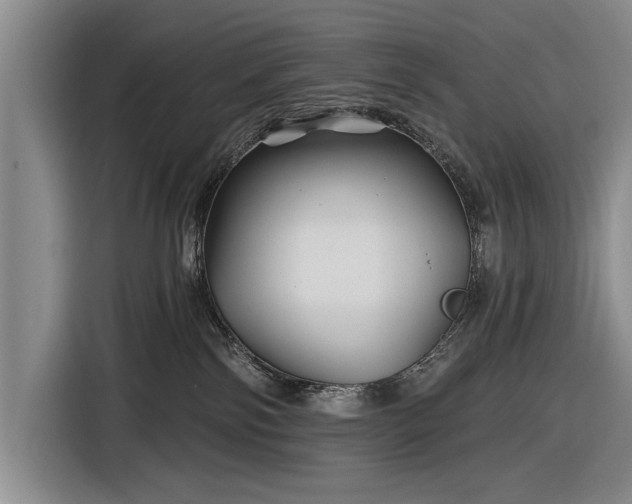 X0000116590138200912171601