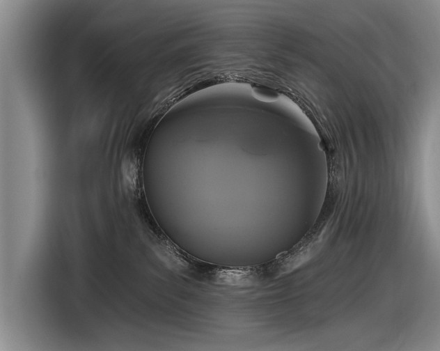 X0000116590139200912171601