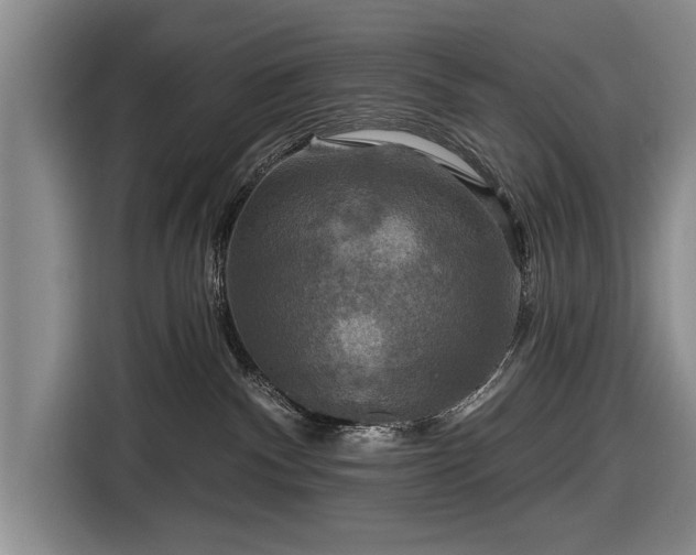 X0000116590140200912171601