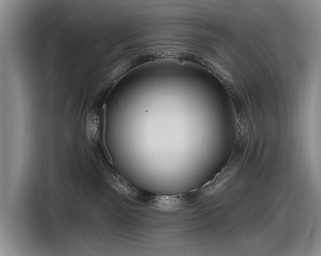 X0000116590141200912171601