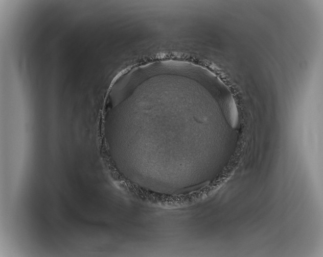 X0000116590144200912171601