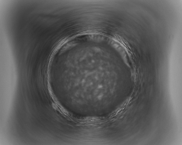 X0000116590145200912171600