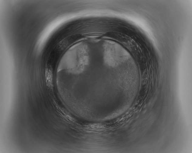 X0000116590146200912171600