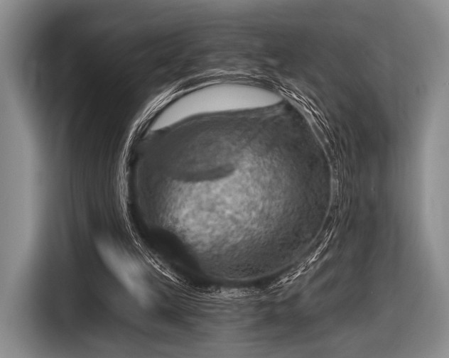 X0000116590149200912171600