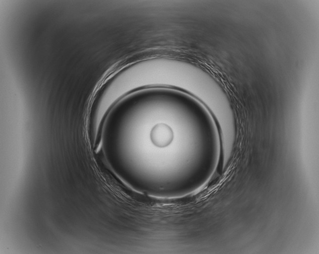 X0000116590150200912171600