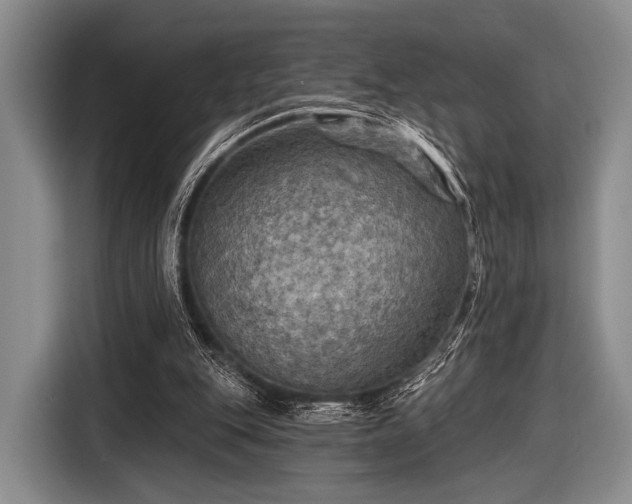 X0000116590151200912171600