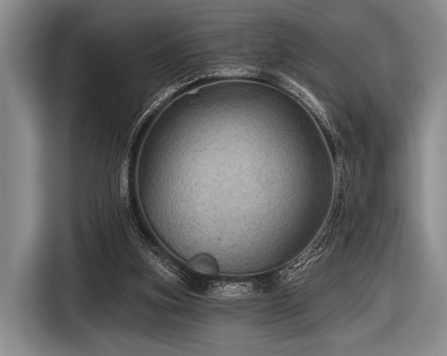 X0000116590155200912171600