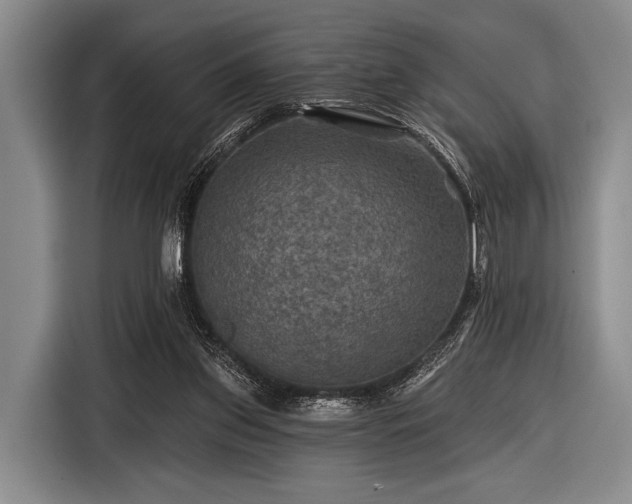 X0000116590157200912171600