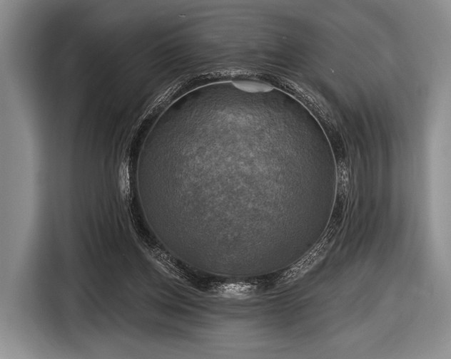 X0000116590158200912171600