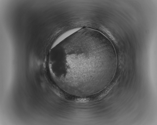 X0000116590161200912171600