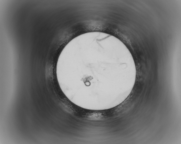 X0000116590162200912171600