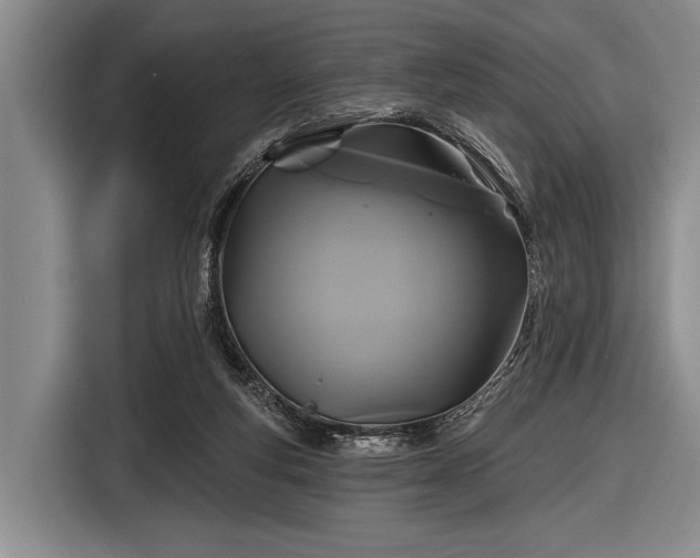 X0000116590163200912171600