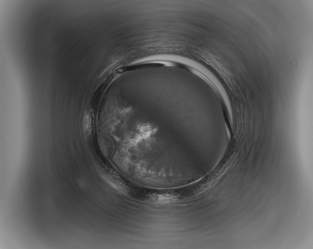 X0000116590165200912171600