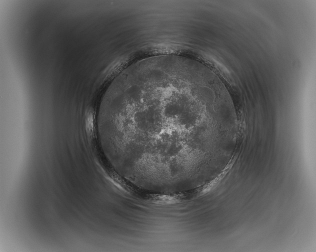 X0000116590166200912171600