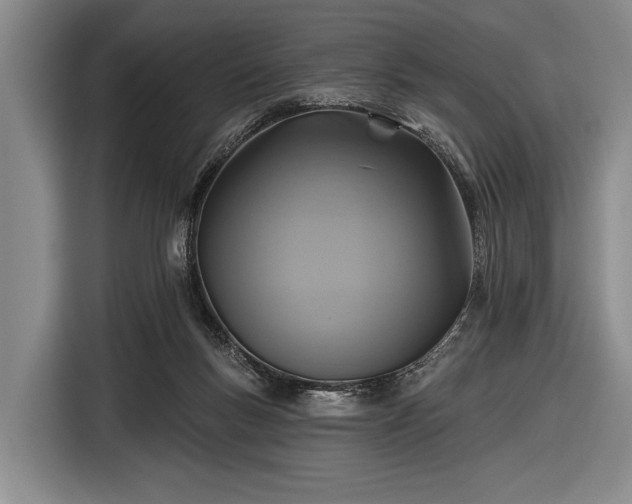 X0000116590167200912171600