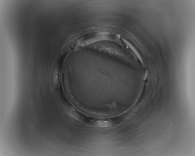 X0000116590169200912171600