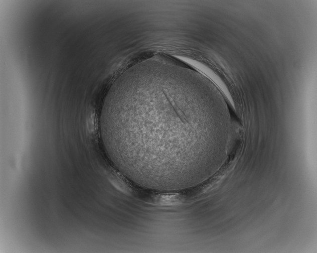 X0000116590173200912171600