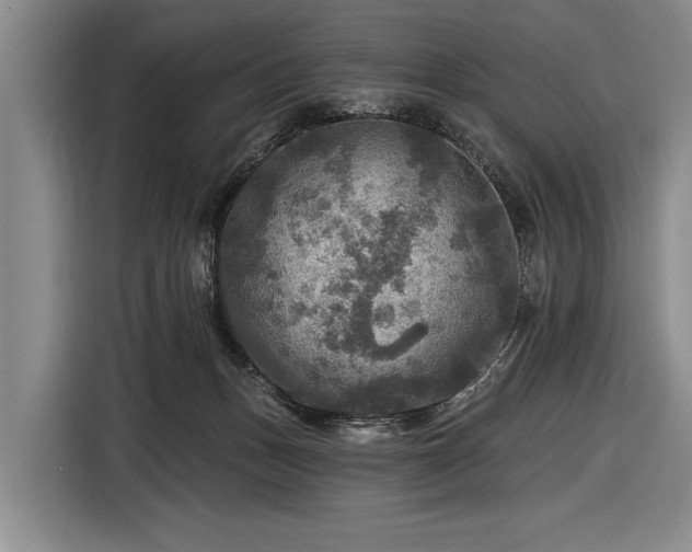 X0000116590175200912171600