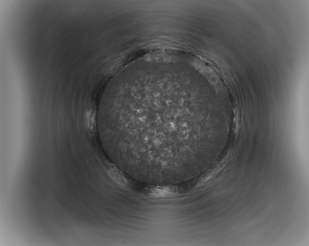 X0000116590177200912171600