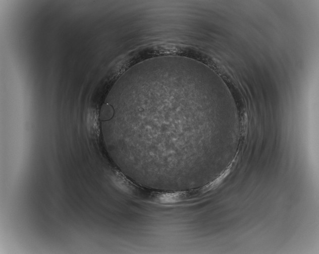 X0000116590178200912171600