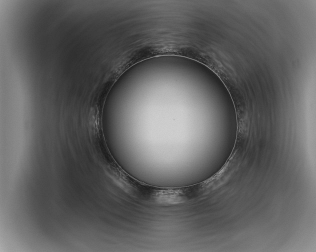 X0000116590179200912171600