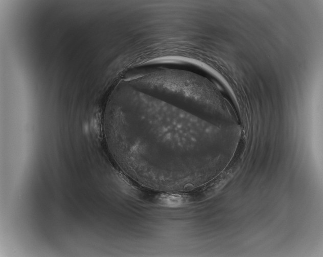 X0000116590181200912171601