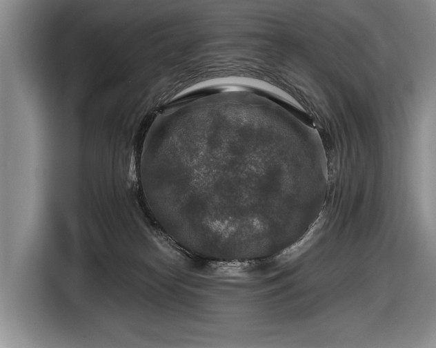 X0000116590182200912171601