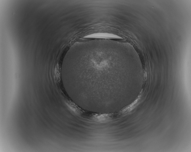 X0000116590186200912171601