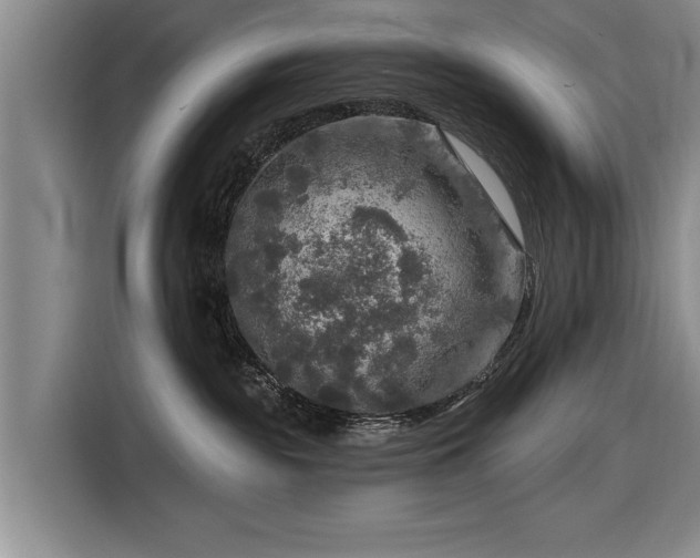 X0000116590189200912171601