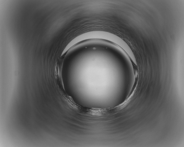 X0000116590190200912171601