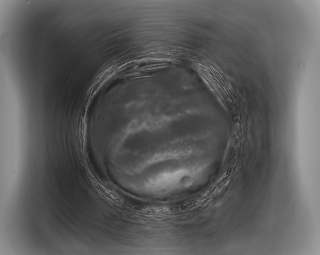 X0000116590194200912171600