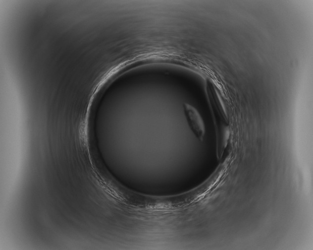 X0000116590196200912171600