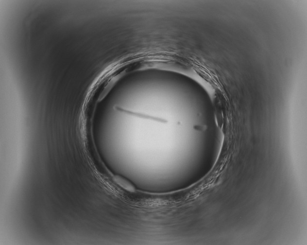 X0000116590197200912171600