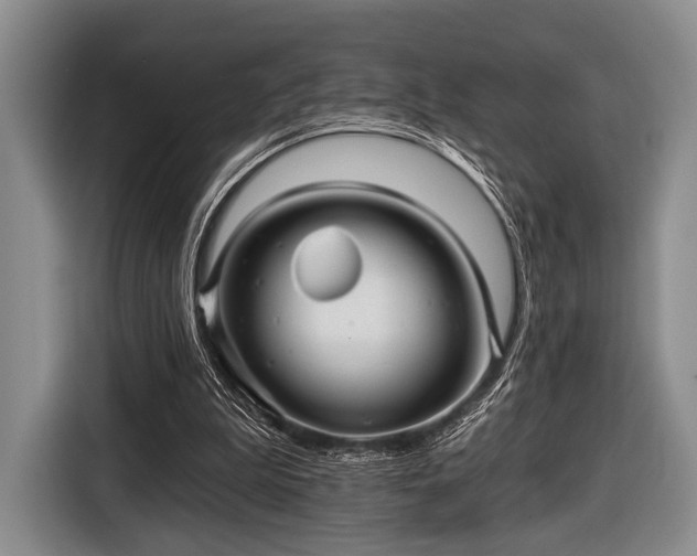 X0000116590199200912171600