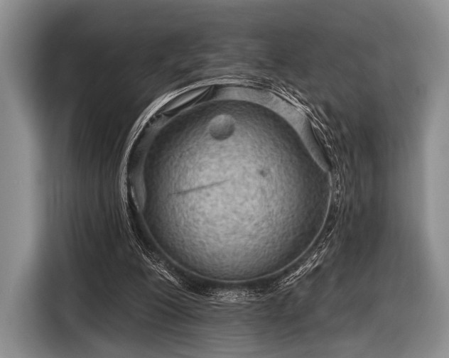 X0000116590200200912171600