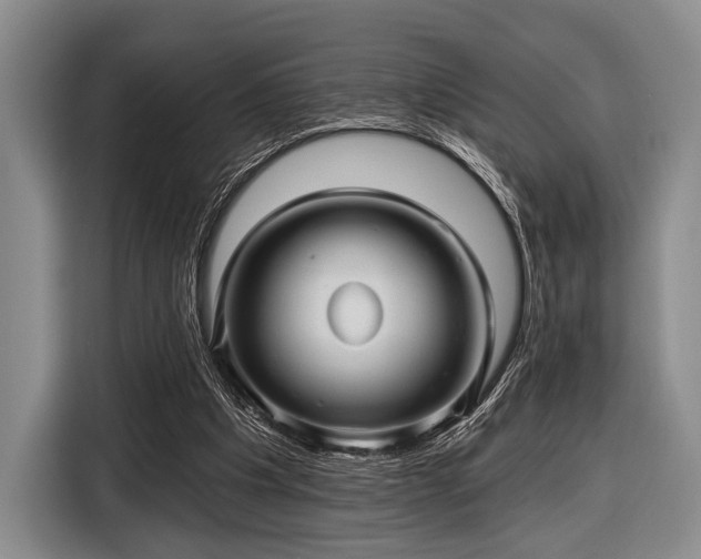 X0000116590201200912171600