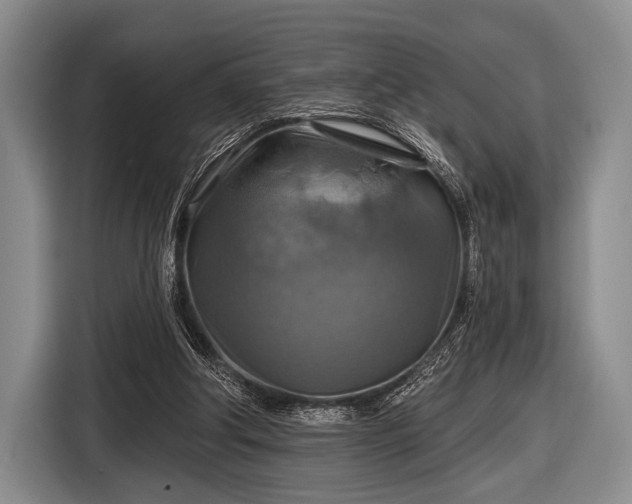 X0000116590202200912171600