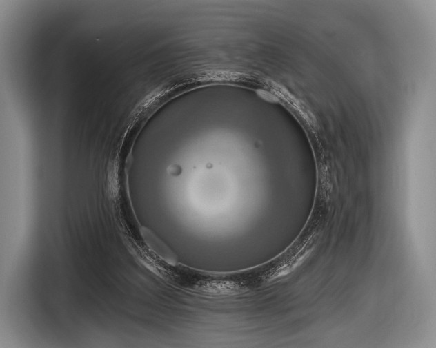 X0000116590203200912171600