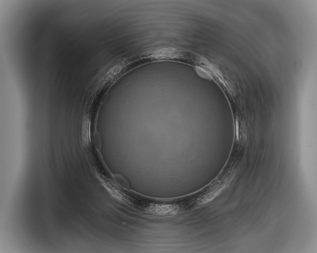 X0000116590205200912171600