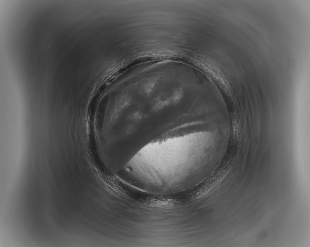 X0000116590206200912171600