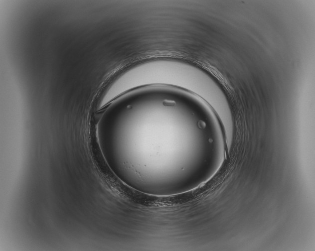 X0000116590207200912171600