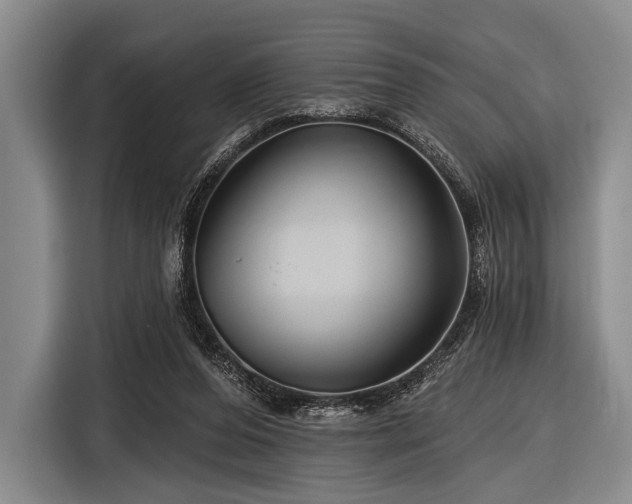 X0000116590208200912171600