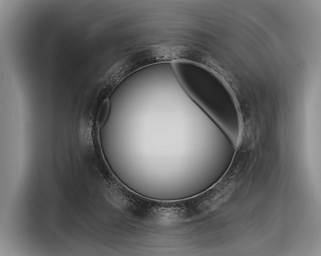 X0000116590209200912171600