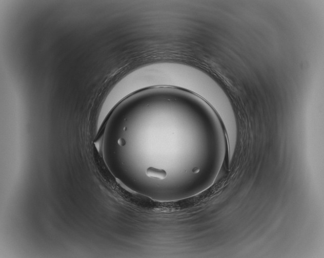 X0000116590211200912171600