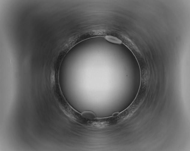 X0000116590213200912171600