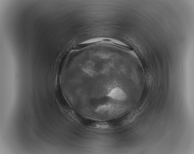 X0000116590214200912171600