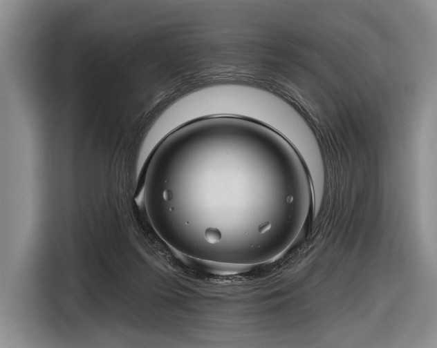 X0000116590215200912171600