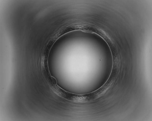 X0000116590217200912171600